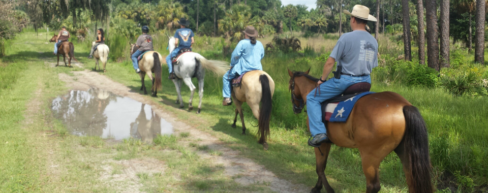 Horseback Riding In The Breeze Ranch